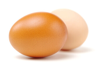 egg on a white background