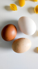 Chicken eggs of different colors lie on the kitchen table.