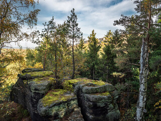 Quirl in der Sächsischen Schweiz - Quirlwächter und Festung Königstein