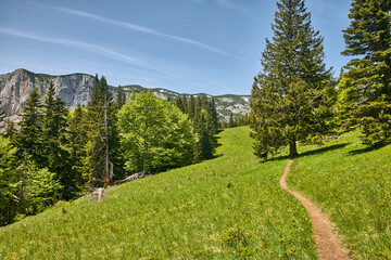 Fototapeta na wymiar Balkan, Montenegro, Wandertour, Zabljak, Berge, Gipfel, Klettertour, klettern