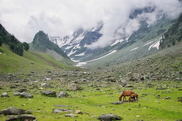 Fototapeta na wymiar Picture of a beautiful landscape of Thajawas Glacier at Sonmarg, Kashmir.