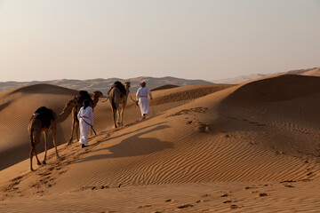 Two men with camels in the desert  and sands