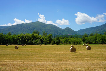 Summer landscape in Lunigiana, Tuscany, at summer