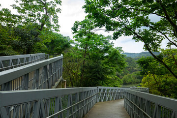 Taiwan, New Taipei City, Shifenliao Waterfall, park, forest trail