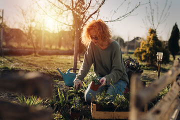 woman gardening vegetables and herbs in her backyard garden