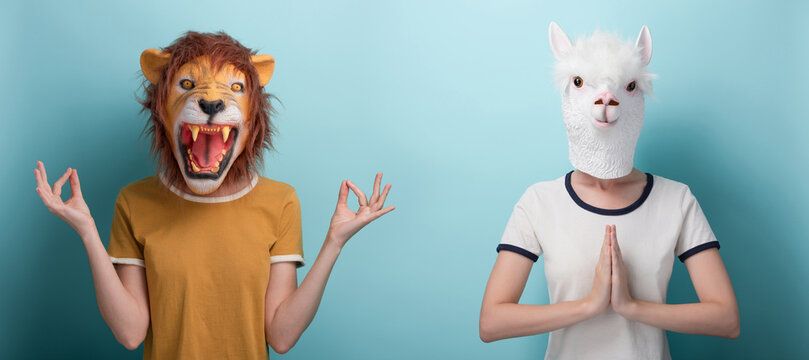 Young woman in lion mask with raised hands in meditation yoga mudra sign, and woman in alpaca mask with her hands together in gratitude or prayer sign, isolated on blue background with copy-space