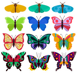 Fototapeta na wymiar A collection of twelve different, isolated, simple and complex, colorful, beautiful, with patterns on the wings of butterflies and moths without a background.