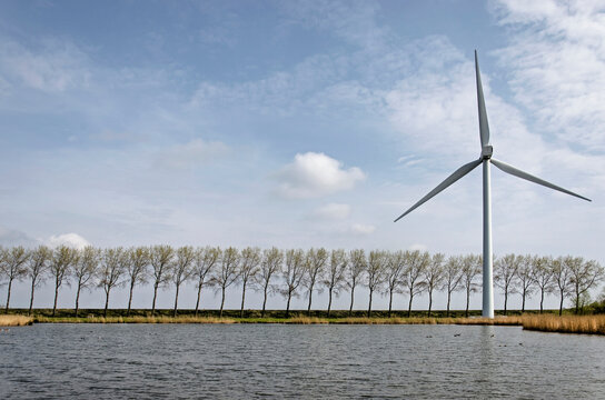 Middelharnis, The Netherlands, March 30, 2022: view across a lake towards a dike with a wind turbine and a row of trees all bend in the same direction by the prevailing westerly winds