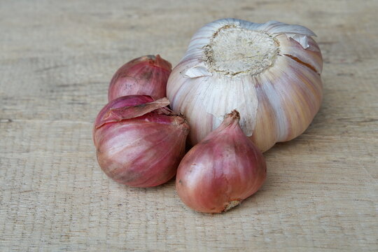red and white onions from agriculture in the fields