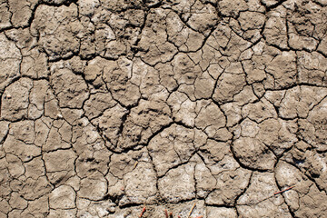 Detail close up of cracked soil exposed on the tidal zone