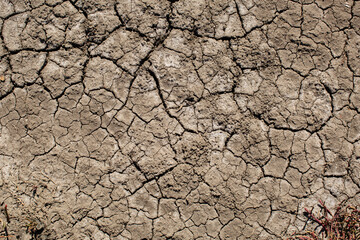 Detail close up of cracked soil exposed on the tidal zone