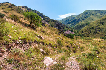 Fototapeta na wymiar footpath in the mountains