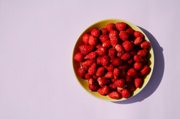 Wild strawberry berries on saucer on pink background with copy space. Summer background. Concept of summer menu for cafes, berry harvest, medicinal plants and natural vitamins.