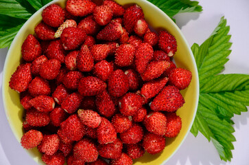 Wild strawberry berries on saucer on pink background close-up. Summer background. Concept of summer menu for cafes, berry harvest, medicinal plants and natural vitamins.