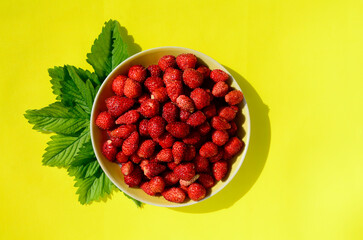 Wild strawberry berries on saucer on yellow background with copy space. Summer background. Concept of summer menu for cafes, medicinal plants and natural vitamins.