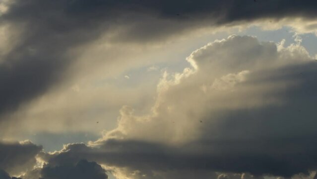 Clouds in sky with birds flying at sunset