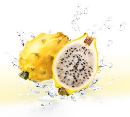Fresh Yellow dragonfruit Pitahaya falling in the air with splash water isolated on white...