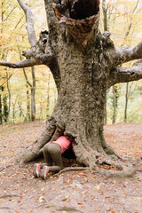 back of Woman trying hide in hole of old tree in forest