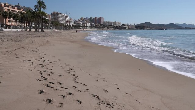 Villajoyosa beach Spain with palm trees sand and waves Costa Blanca Alicante