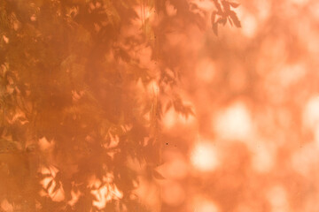 A shadow on an orange background, the concept of summer minimalism to overlay on the presentation, background, layout.
