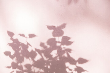 A shadow on a pink background, the concept of summer minimalism to overlay on the presentation, background, layout.