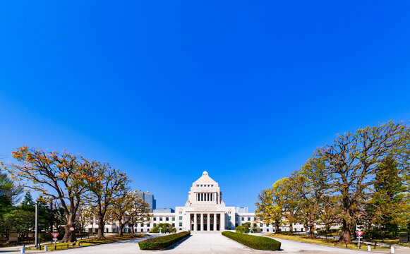 国会議事堂 の画像 19 870 件の Stock 写真 ベクターおよびビデオ Adobe Stock