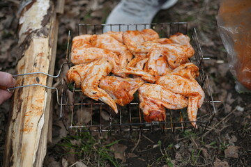 Metal grill for barbecue. Shish kebab in marinade is cooked on the grill. Fried chicken meat with spices on a fire in the forest