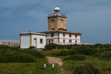Fototapeta na wymiar Two seagulls are seen in the Lighthouse of Tabarca. Tabarca is a small islet located in the Mediterranean Sea, close to the town of Santa Pola, Alicante, Spain.
