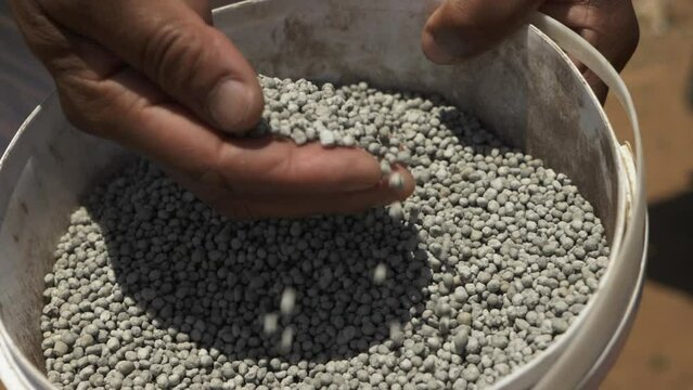 Close up, slow motion shot of a hand going through fertiliser in a bucket.