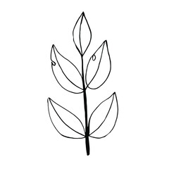 Black painted twigs with leaves outline on a white background
