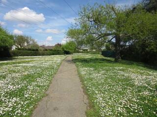 Obraz premium paysage de Chelles 1