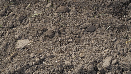the excavated earth in the garden. preparation of land for planting vegetables and other plants