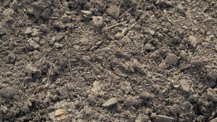 the excavated earth in the garden. preparation of land for planting vegetables and other plants