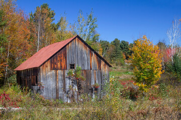 Fototapeta na wymiar Weathered and rusted wooden shack in autumn on highway 60 near Algonquin Park, Canada