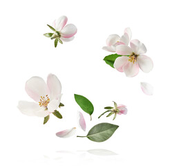 Obraz premium Delicious Chocolate flying in the air. High resolution levitation concept