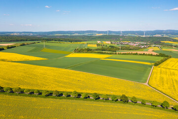 Obraz premium A bird's-eye view of a spring landscape in the Taunus with blooming yellow rapeseed fields