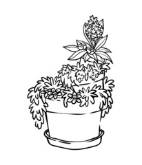 Flowers and plants potted in the three pots, floral composition, black and white, coloring book illustration, page