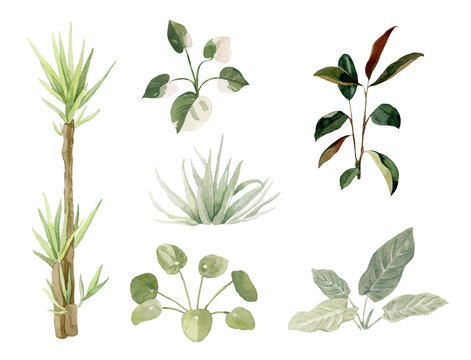 Different indoor and outdoor plants - hand painted watercolor illustration - urban jungle. Perfect for invitations, cards, prints, posters.