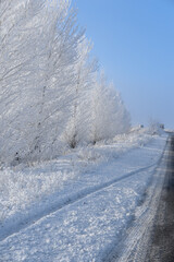 Beautiful winter nature of Ukraine road and fields.