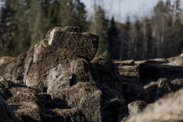 Norway at Glomma river 