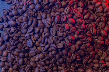 A coffee beans in color light.