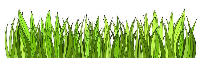 Seamless fresh green grass on white background, vector illustration
