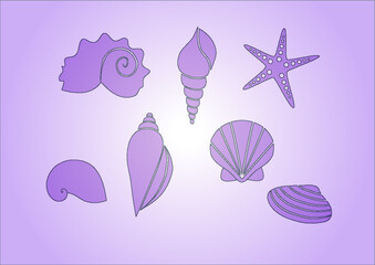 set of shells