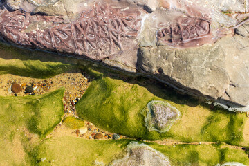 Beach Rock Textures and Algae 