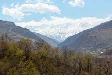 Spring in the mountains of Chechnya.