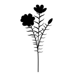 plant silhouette, isolated on white background