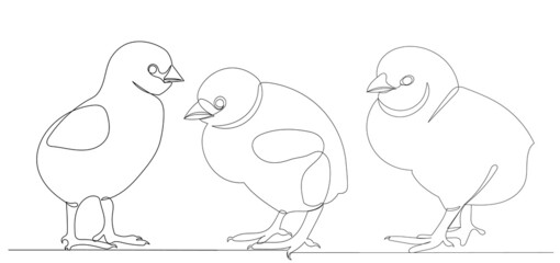 chickens drawing by one continuous line, sketch