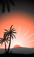 palm silhouette on sunset