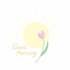  tulip and text good morning