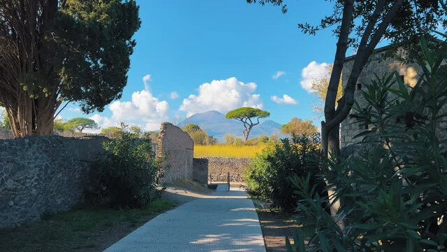 Dolly forward shot of rural path with idyllic tree and Mount Vesuvius VOlcano in background during sunny day,Italy